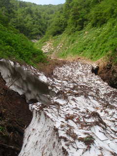 雪渓[image/jpeg:311kB]