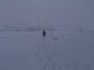 雪原[image/jpeg:66kB]