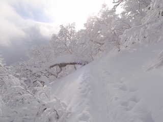 ラッセル跡あり[image/jpeg:130kB]