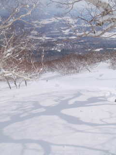 沢筋へ下る[image/jpeg:168kB]