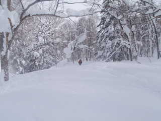 ラッセル開始[image/jpeg:193kB]