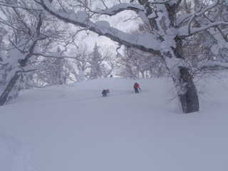 先行パーティに追いついた[image/jpeg:151kB]