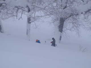 ピットテスト[image/jpeg:116kB]