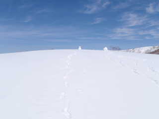 雪だるま[image/jpeg:57kB]