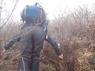 ヤブに突入[image/jpeg:217kB]